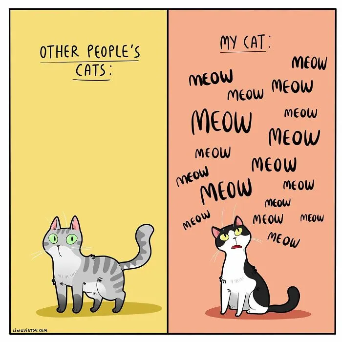 The Daily Realities Of Living With A Cat, Perfectly Captured By This Artist (40 New Pics)