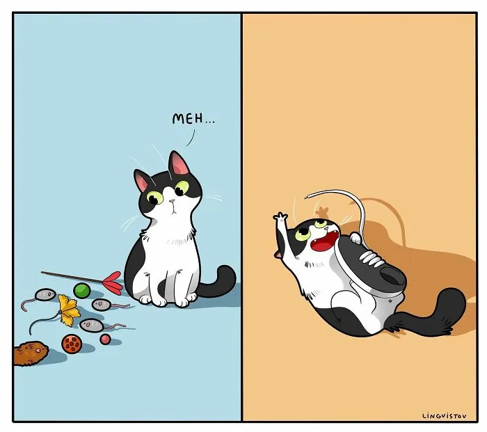 Esta artista ilustra cómo es vivir con un gato (25 nuevos cómics)