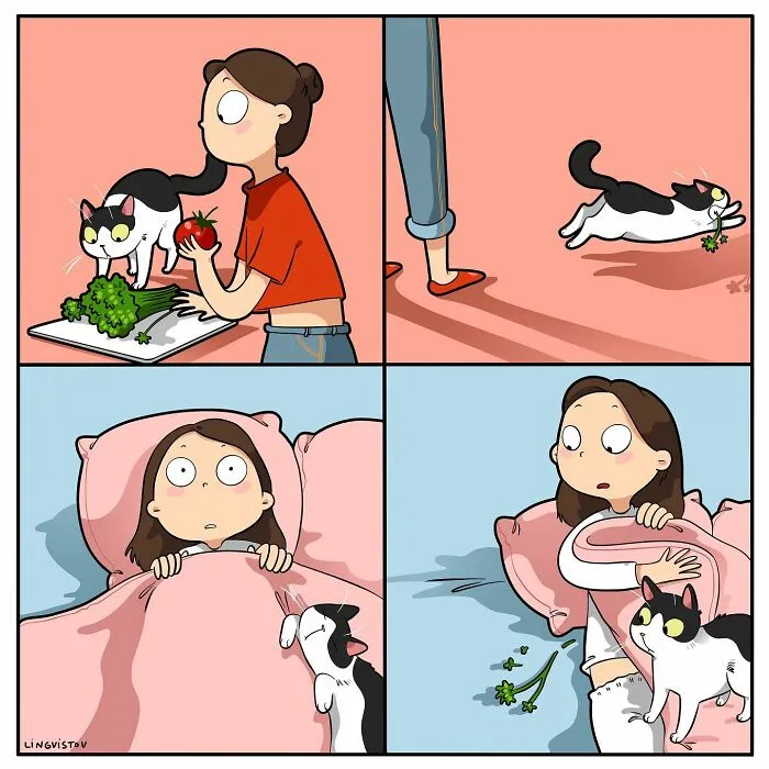 Esta artista ilustra cómo es vivir con un gato (25 nuevos cómics)