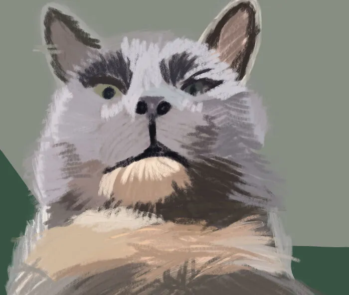 He Sees U