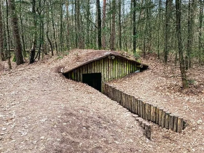 20 Personas comparten historias divertidas y curiosas sobre sus antepasados