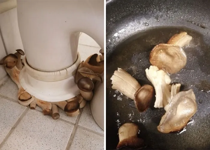 50 Times People Disrespected Food In The Worst Ways And Were Shamed On This Online Page