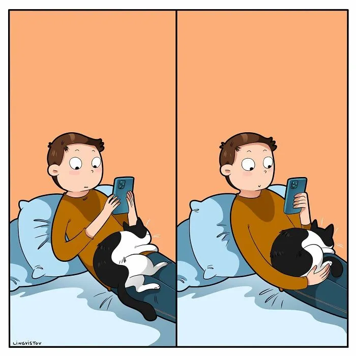 Esta artista ilustra cómo es vivir con un gato (25 nuevos cómics)