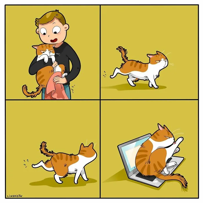 Esta artista ilustra cómo es vivir con un gato (25 nuevos cómics)