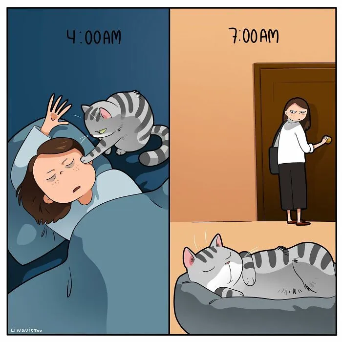 Esta artista ilustra cómo es vivir con un gato (25 nuevos cómics)
