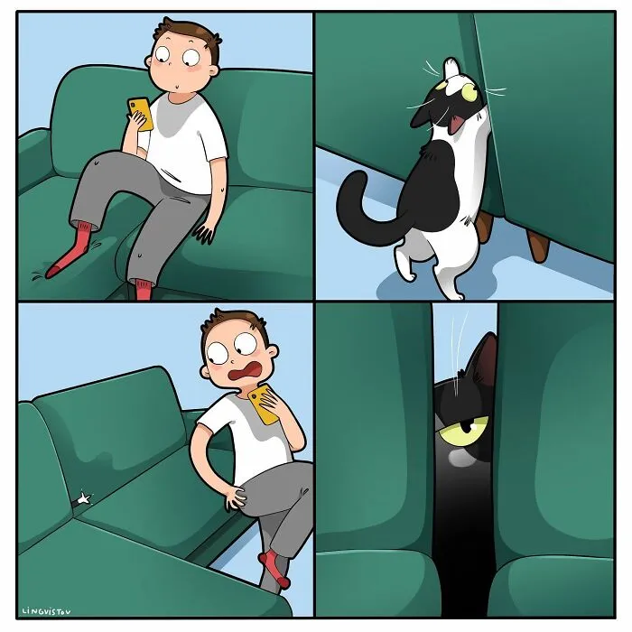 Esta artista ilustra cómo es vivir con un gato (25 nuevos cómics)