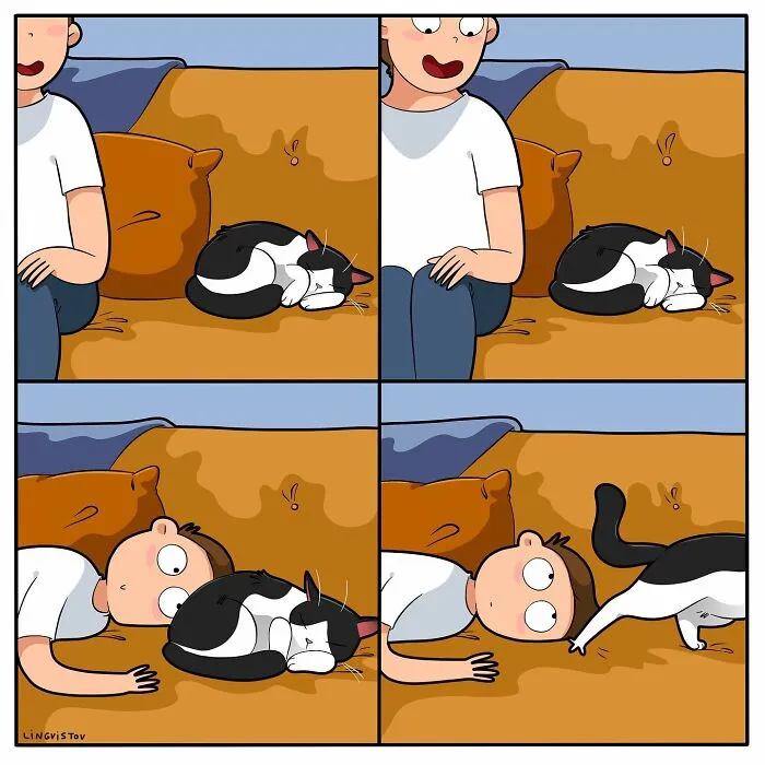 Esta artista ilustra cómo es vivir con un gato (25 nuevos cómics)