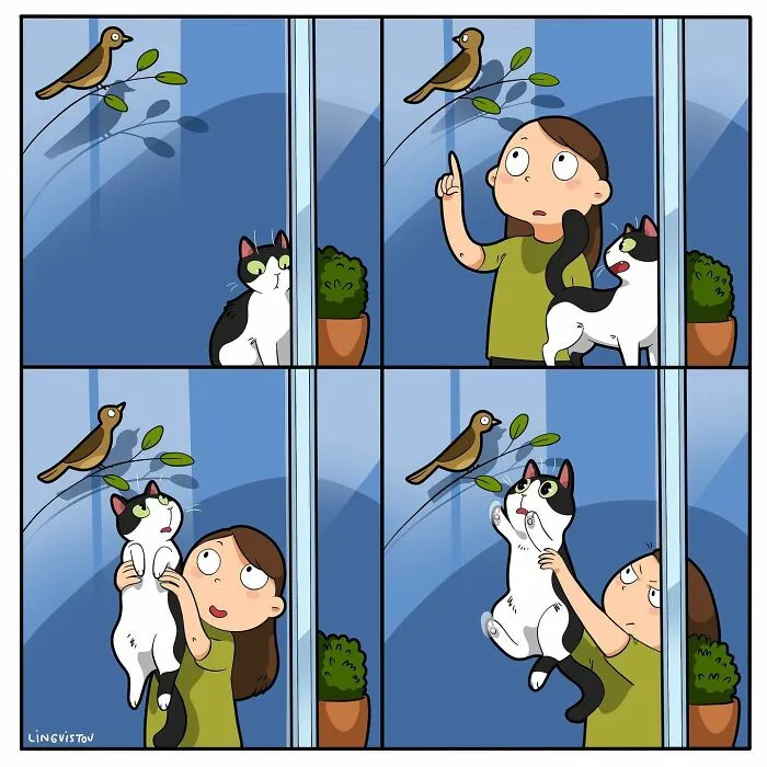Esta artista ilustra cómo es vivir con un gato (25 nuevos cómics)