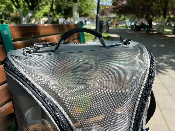 My Senegal Parrot Enjoying A Walk In The Park. His Bird Carrier Was The Best Purchase Ever