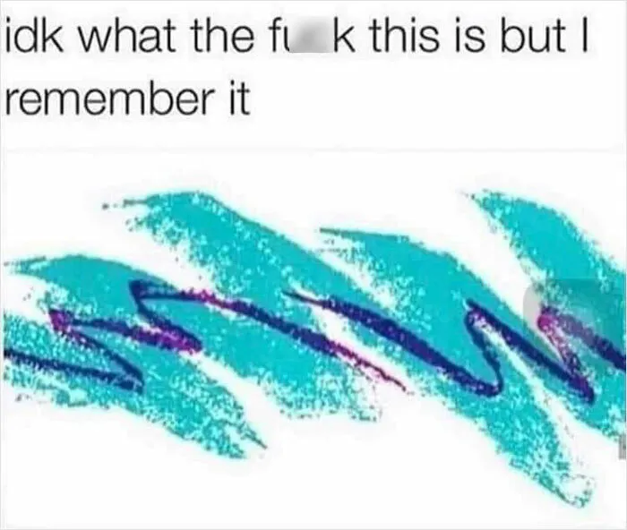 People Are Cracking Up At These 30 Memes That Represent Real Womanhood