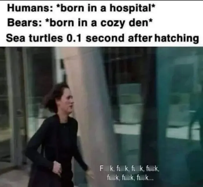 50 Funny Instagram Memes That Might Make You Chuckle