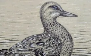 Amazing Pen Art By Sangeeta Cs (7 Pics)