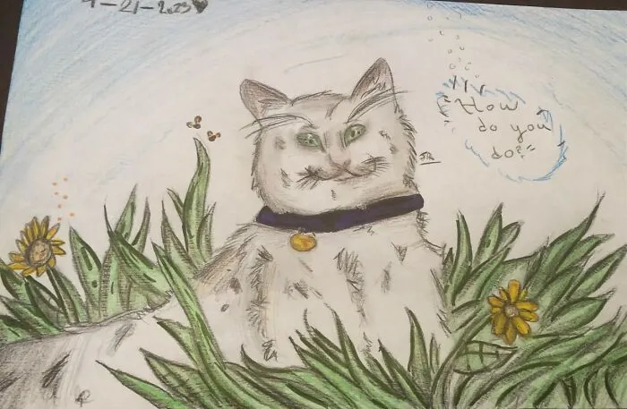 Im So Bad At Drawing Cats But Whatever. I Mean It Looks Like A Cat Right??