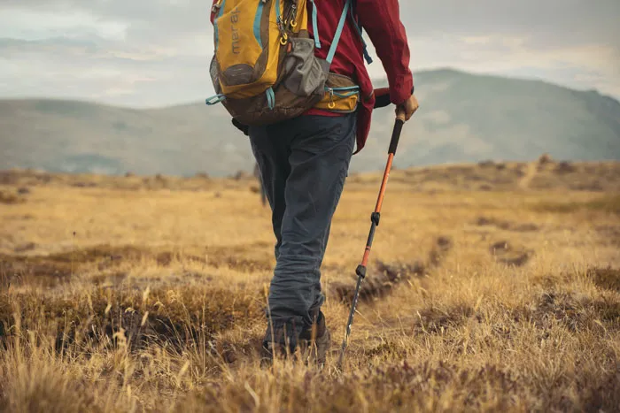 Wilderness Wear
