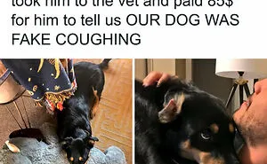 50 Unexpectedly Wholesome Situations To Brighten Your Day (New Pics)