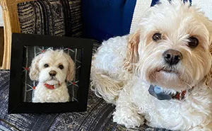 Anneli Kirby Turns Wool Into Three-Dimensional Dog Portraits, And Here Are Her 37 Best Works