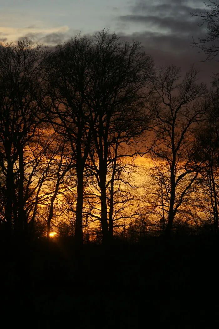 This Is The View From My Bedroom Window. The Sunset Was So Beautiful!