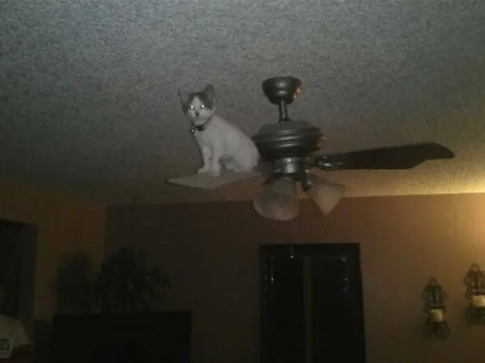 50 Of The Most 'Cursed' Photos Shared On This Instagram Page