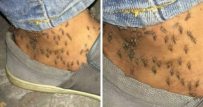 50 Of The Most 'Cursed' Photos Shared On This Instagram Page