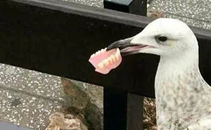 50 Of The Most 'Cursed' Photos Shared On This Instagram Page