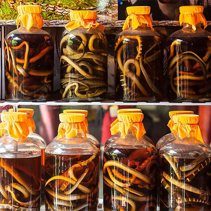 Snake Wine