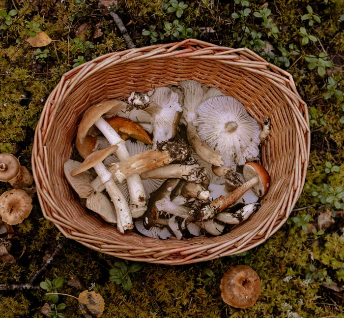 35 Weird Hobbies People Enjoy In Their Spare Time