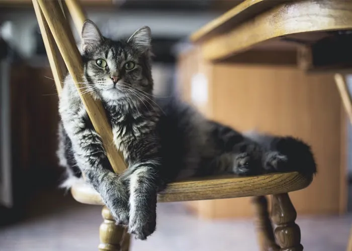“What Is The Weirdest Rule You Had To Follow While A Guest At Someone’s House?” (40 Answers)