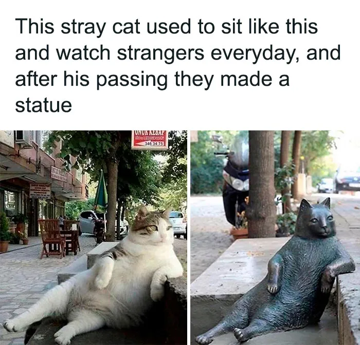 If The World Feels Like A Terrible Place, These 50 Wholesome Pics And Memes Might Cheer You Up