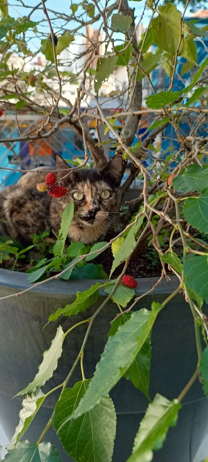 It's Harvest Time