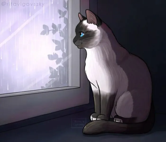 Artist Illustrates What Everyday Life With Her Cat Is Like (30 New Pics)