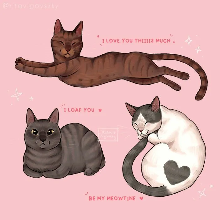 Artist Illustrates What Everyday Life With Her Cat Is Like (30 New Pics)