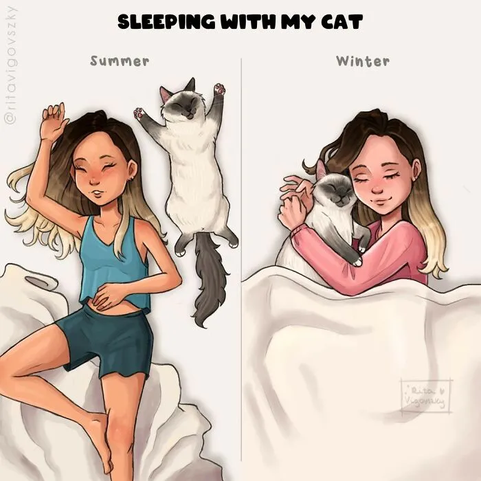 Artist Illustrates What Everyday Life With Her Cat Is Like (30 New Pics)