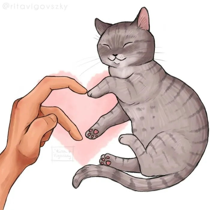 Artist Illustrates What Everyday Life With Her Cat Is Like (30 New Pics)