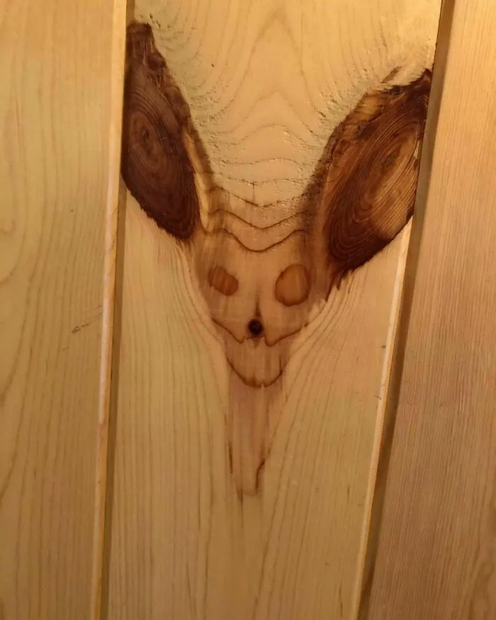 50 Of The Most 'Cursed' Photos Shared On This Instagram Page