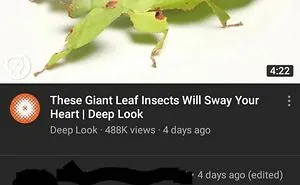 30 Times People Wrote Something So Savage, It Ended Up On The "Cursed Comments" Instagram Page