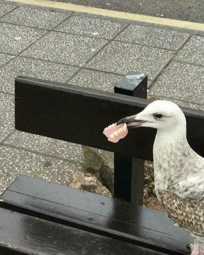 50 Of The Most 'Cursed' Photos Shared On This Instagram Page