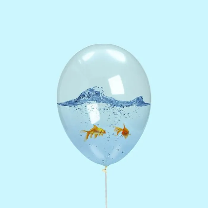 Walking The Fish