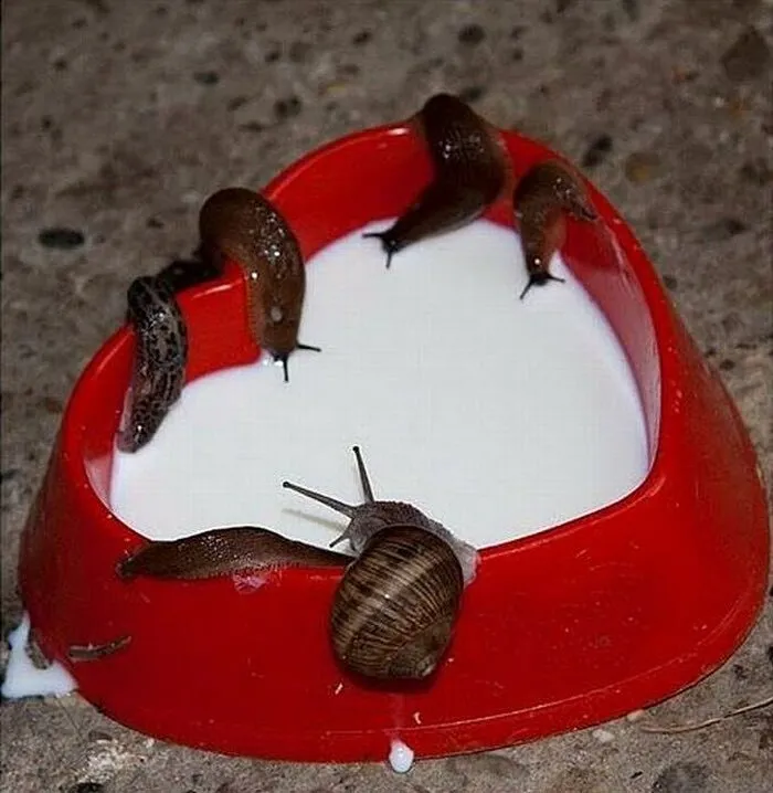 50 Of The Most 'Cursed' Photos Shared On This Instagram Page