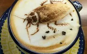 50 Of The Most 'Cursed' Photos Shared On This Instagram Page