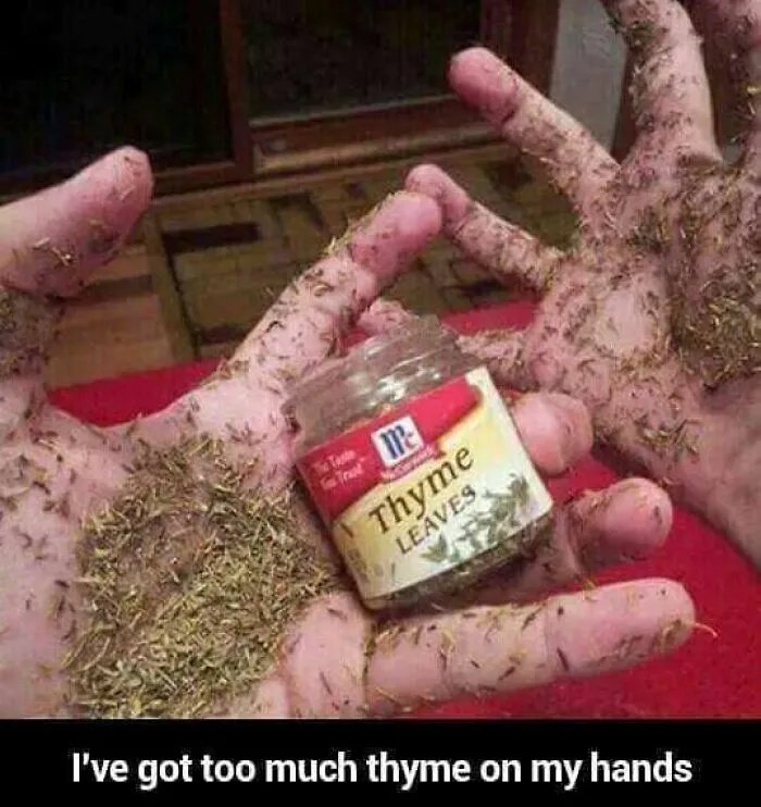 50 Glorious Cooking Memes To Make The Chefs In Your Life Nod In Approval