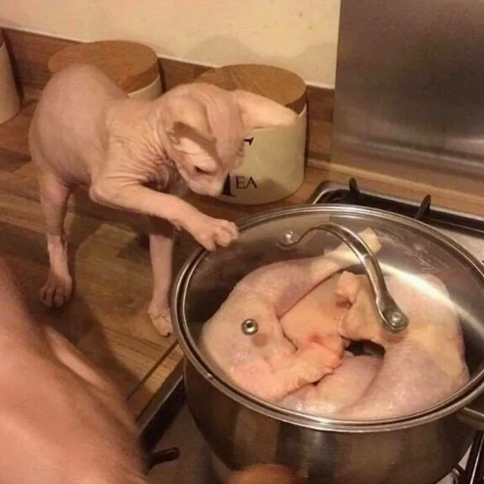 Esta página de Instagram comparte imágenes 'malditas', y aquí tienes 50 de las más espeluznantes