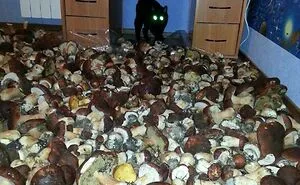 50 Of The Most 'Cursed' Photos Shared On This Instagram Page