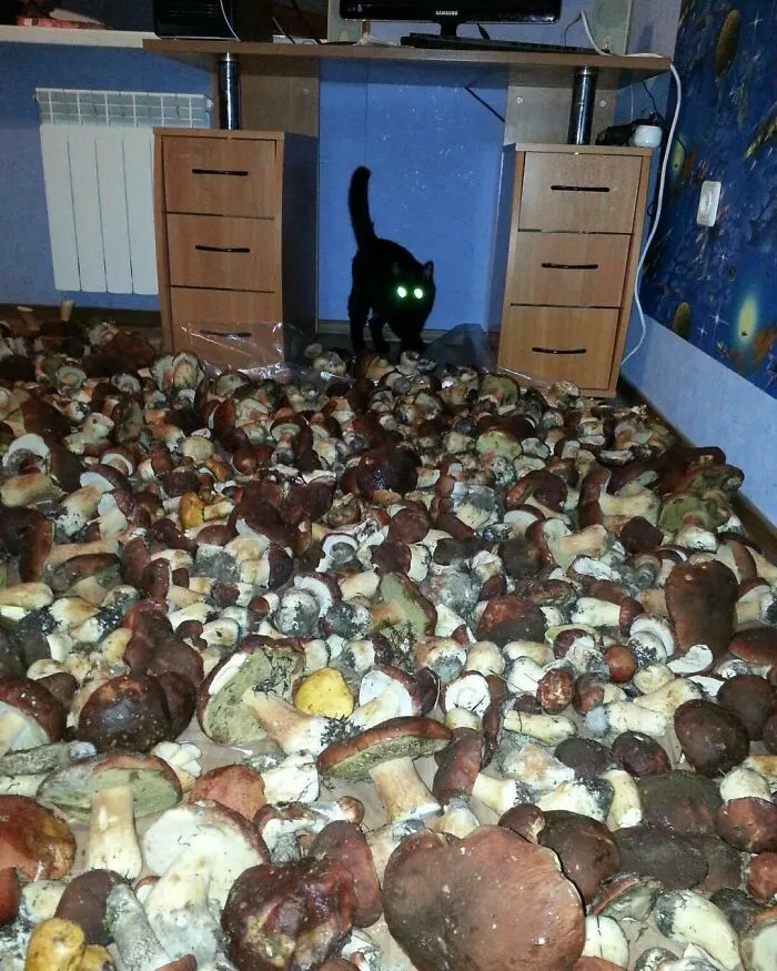 Esta página de Instagram comparte imágenes 'malditas', y aquí tienes 50 de las más espeluznantes