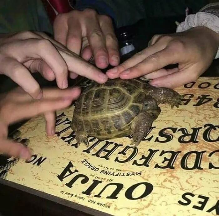 Esta página de Instagram comparte imágenes 'malditas', y aquí tienes 50 de las más espeluznantes