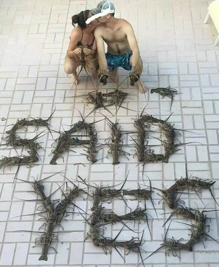 50 Of The Most 'Cursed' Photos Shared On This Instagram Page