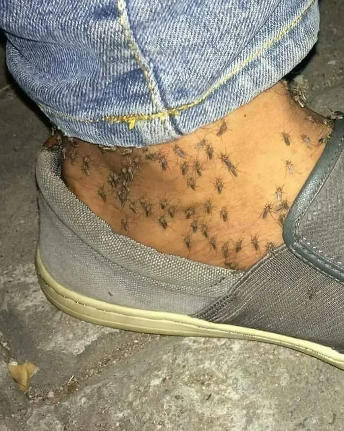 Esta página de Instagram comparte imágenes 'malditas', y aquí tienes 50 de las más espeluznantes