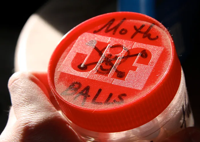 30 "Insane" Complaints About Employees That Turned Out To Be Completely True