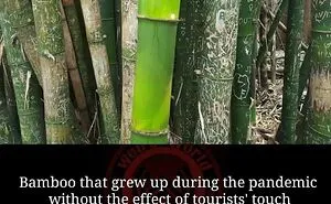 Weird World: 50 Amazing Facts From This Instagram Page To Satisfy Your Curiosity