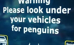 50 Times Signs Were So Funny, They Had To Be Shared On This Instagram Page