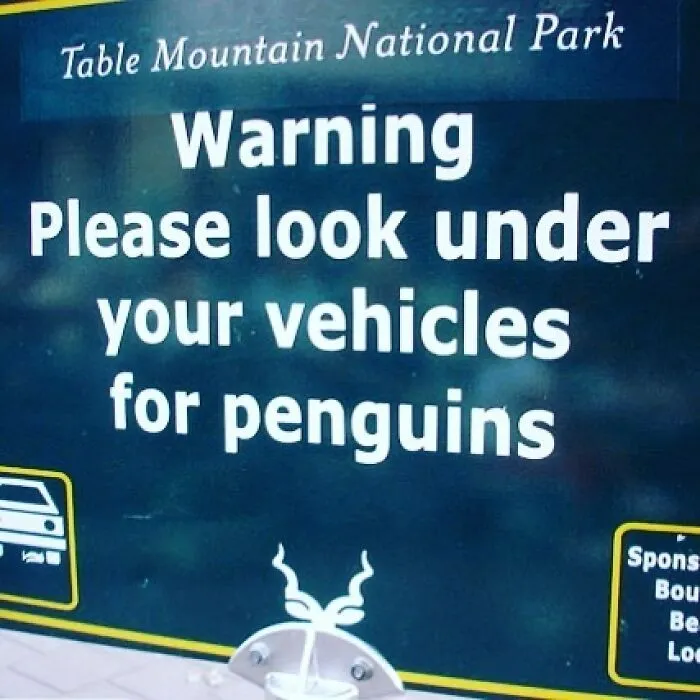 Hilarious-Funny-Signs